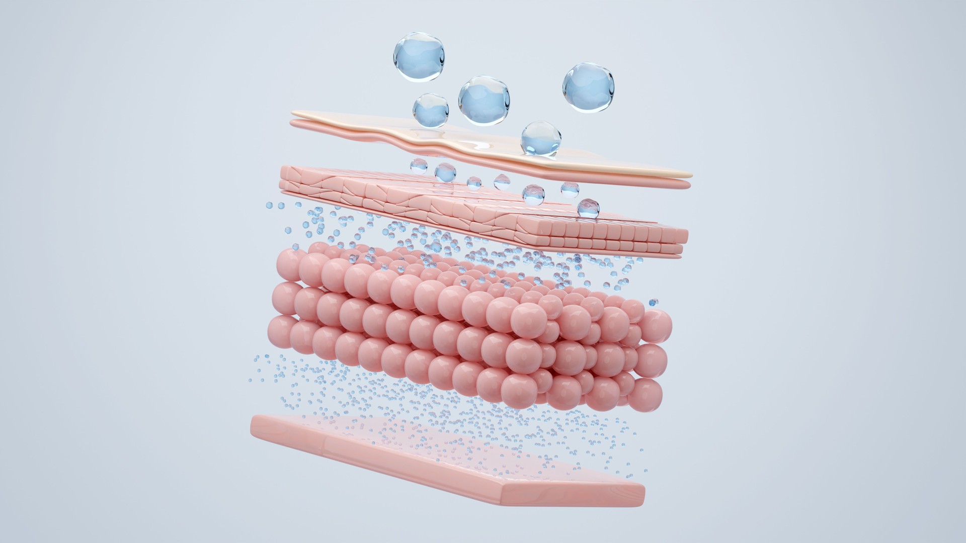 Hyaluronic acid and skin layer