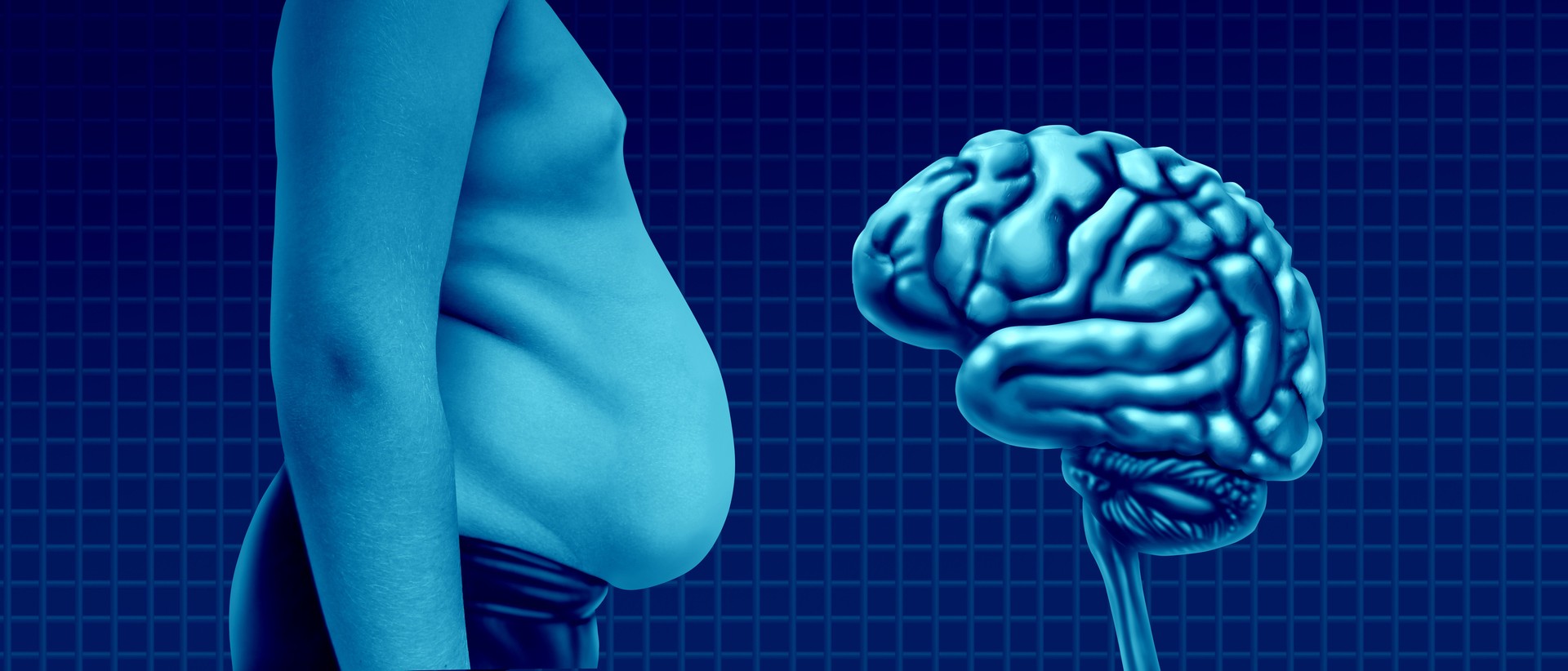 Obesity And The Brain